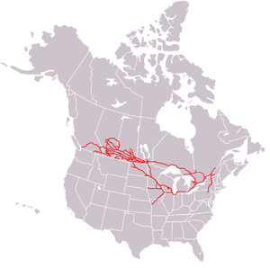 300px-Canadian_Pacific_System_Railmap